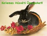 Húsvéti képeslap