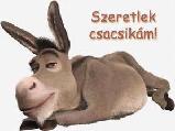 Szerelmes képeslap