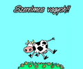 Szerelmes képeslap