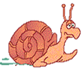 Vicces képeslap