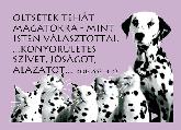 Baráti képeslap