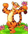 Képeslap