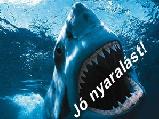 Baráti képeslap