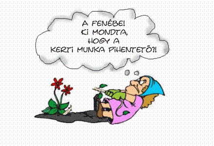 Baráti képeslap