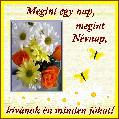 Névnapi képeslap
