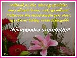 Névnapi képeslap