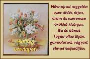Névnapi képeslap