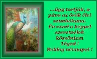 Névnapi képeslap