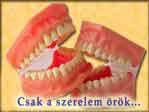 Vicces képeslap