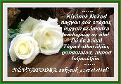 Névnapi képeslap