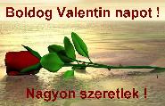 Valentin napi képeslap