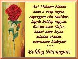 Névnapi képeslap