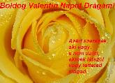 Valentin napi képeslap