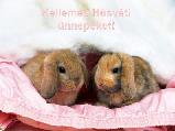Húsvéti képeslap
