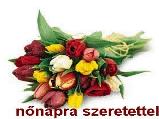 Nőnapi képeslap