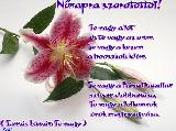Nőnapi képeslap