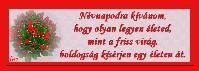 Névnapi képeslap