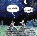 Fogyókúrás képeslap