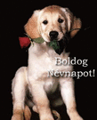 Névnapi képeslap