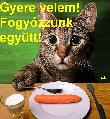 Fogyókúrás képeslap