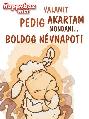 Névnapi képeslap
