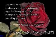 Nőnapi képeslap