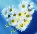 Nőnapi képeslap