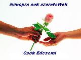 Nőnapi képeslap