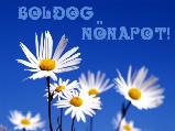 Nőnapi képeslap