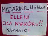 Vicces képeslap