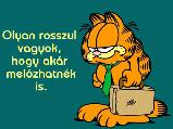 Vicces képeslap
