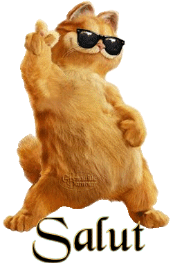 Vicces képeslap
