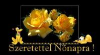 Nőnapi képeslap