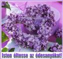 Anyák napi képeslap