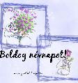 Névnapi képeslap
