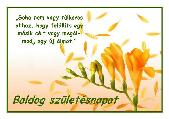 Születésnapi képeslap
