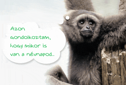 Névnapi képeslap