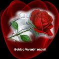 Valentin napi képeslap