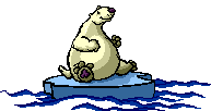 Képeslap