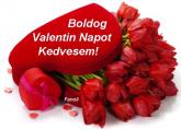 Valentin napi képeslap