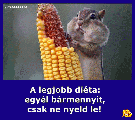Fogyókúrás képeslap