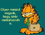 Képeslap