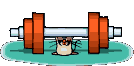 Képeslap