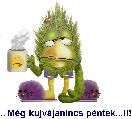 Vicces képeslap
