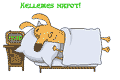 Baráti képeslap