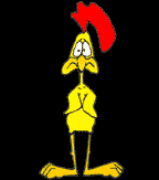 Vicces képeslap