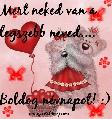 Képeslap