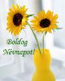 Névnapi képeslap