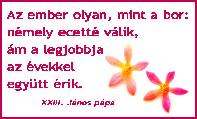 Születésnapi képeslap