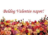 Valentin napi képeslap